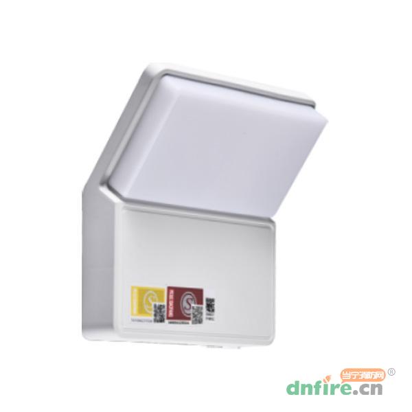 DJ-ZFJC-E7W-03D集電集控/自電集控壁燈,東君,應(yīng)急照明疏散指示系統(tǒng)