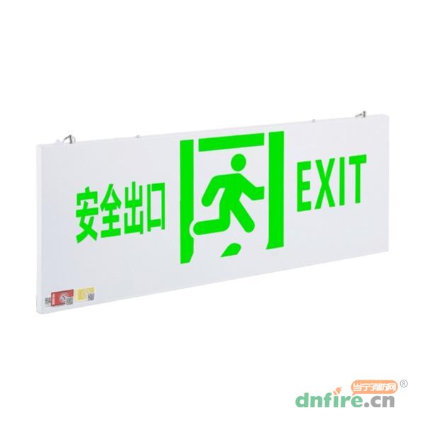 DJ-BLJC-III2LROE3W-01J-TS大標(biāo)志燈具,東君,消防應(yīng)急疏散指示燈
