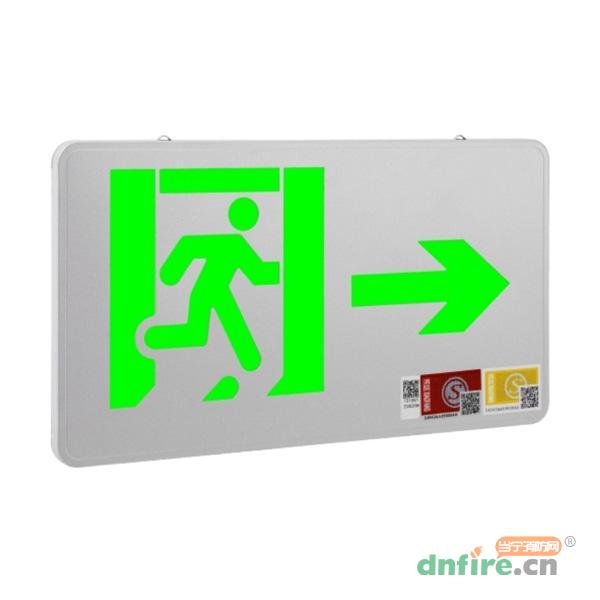 DJ-BLJK-I1LROE0.5W-01E-S閃銀標(biāo)志燈具,東君,消防應(yīng)急疏散指示燈