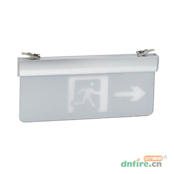 RX-BLJC-2LROEⅡ1W-2012B集中電源集中控制型消防應(yīng)急標(biāo)志燈具,榮夏科技,消防應(yīng)急疏散指示燈