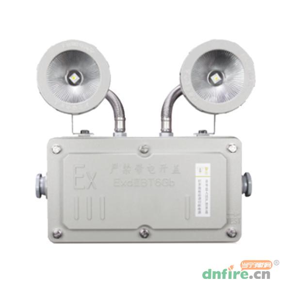 RX-ZFZC-E2W-2122自電集中控制消防應(yīng)急照明燈具 防爆型,榮夏科技,消防應(yīng)急照明燈