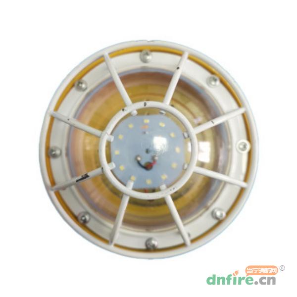 JD-ZFJC-E5W-FB集中電源集中控制型消防應(yīng)急照明燈具,上海金盾,消防應(yīng)急照明燈