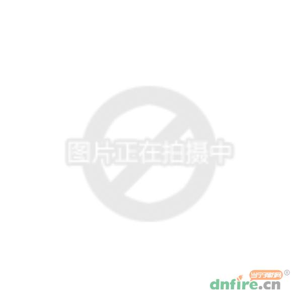 BYF-PC10S消防電源 10A,青鳥(niǎo)消防,智能電源盤(pán)