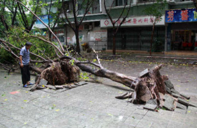 “天兔”登陸已致廣東全省21人死亡 消防提醒注意安全