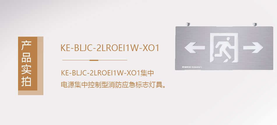 KE-BLJC-2LROEI1W-XO1集中電源集中控制型消防應(yīng)急照明燈具實(shí)拍圖