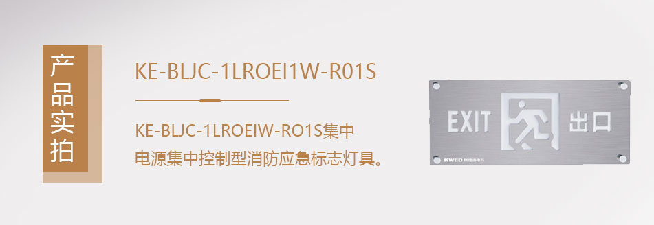 KE-BLJC-1LROE1W-RO1S集中電源集中控制型消防應(yīng)急照明燈具實(shí)拍圖