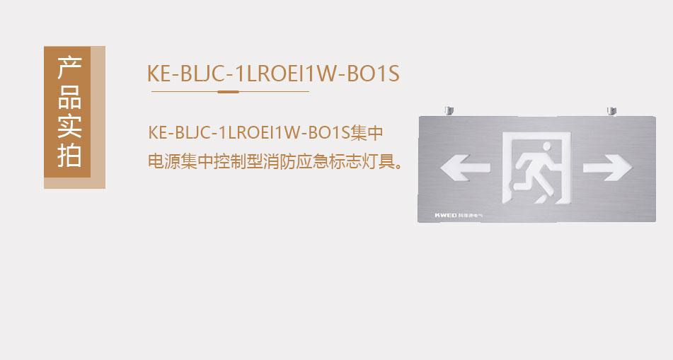 KE-BLJC-1LROEI1W-BO1S集中電源集中控制型消防應(yīng)急照明燈具（壁掛式）實(shí)拍圖