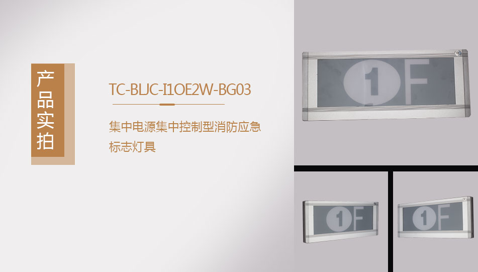 TC-BLJC-I1OE2W-BG03集中電源集中控制型消防應(yīng)急標(biāo)志燈具實(shí)拍圖