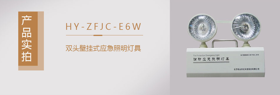 HY-ZFJC-E6W集中電源集中控制型消防應(yīng)急照明燈具實(shí)拍