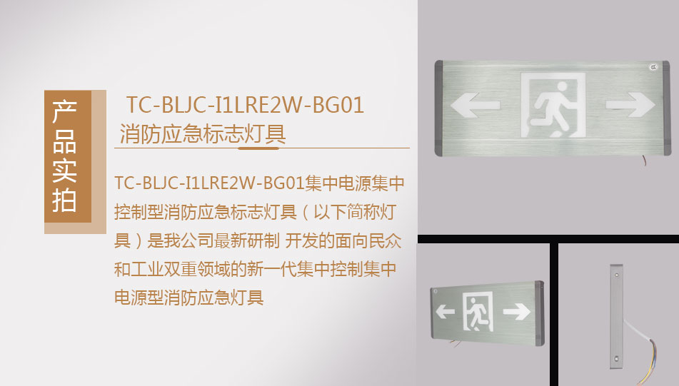 TC-BLJC-I1LRE2W-BG01集中電源集中控制型消防應(yīng)急標(biāo)志燈具實(shí)拍圖