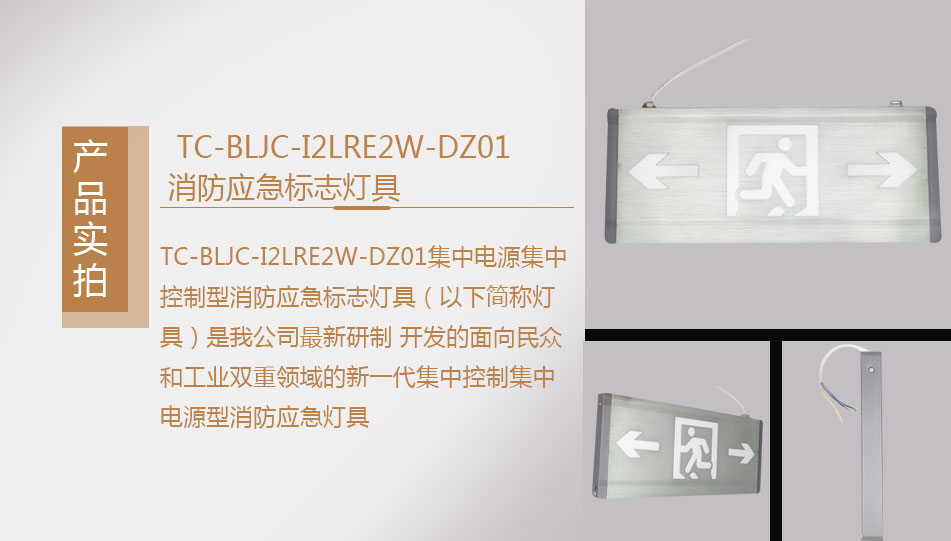 TC-BLJC-I2LRE2W-DZ01集中電源集中控制型消防應(yīng)急標(biāo)志燈具