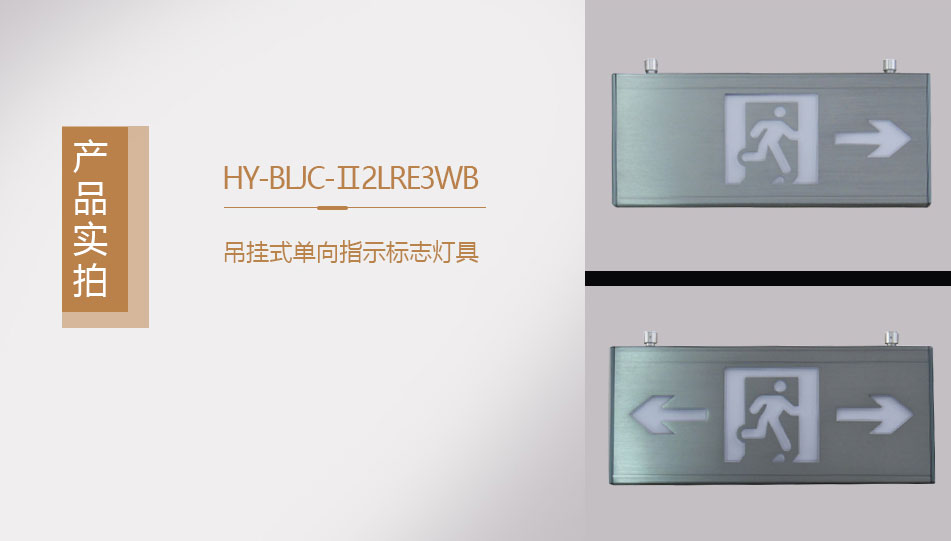 HY-BLJC-Ⅱ2LRE3WB吊掛式單向指示標志燈具實拍