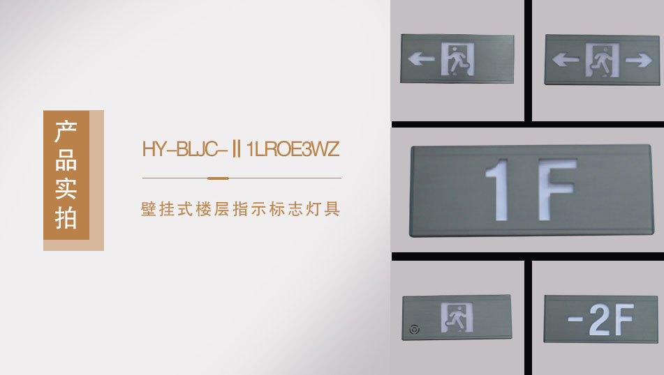 HY-BLJC-Ⅱ1LROE3WZ壁掛式樓層指示標(biāo)志燈具實(shí)拍圖