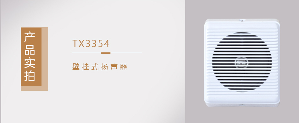 TX3354壁掛式揚(yáng)聲器實(shí)拍