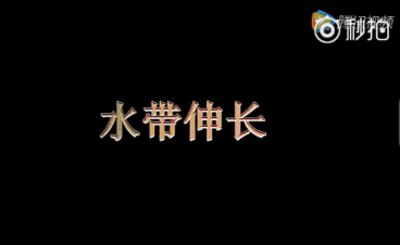 水帶伸長