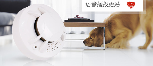 獨(dú)立煙感
