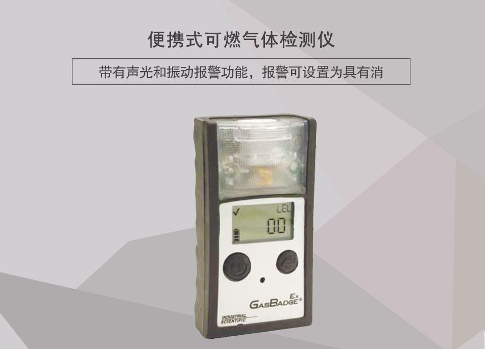 便攜式可燃?xì)怏w檢測儀