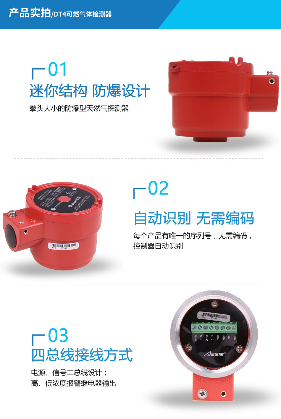 DT4可燃?xì)怏w檢測(cè)器