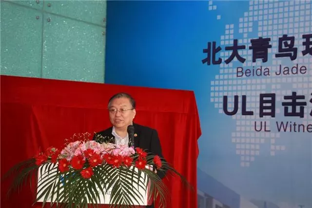 北京市消防協(xié)會秘書長李國華致辭