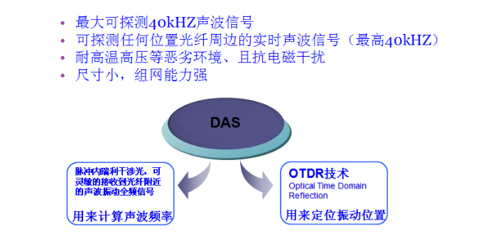 DAS技術(shù)簡介