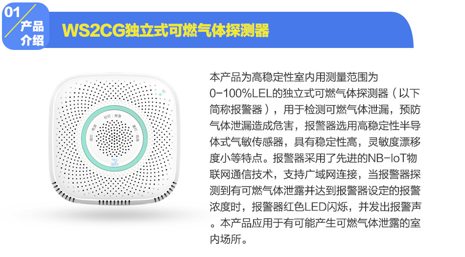 WS2CG獨立式可燃?xì)怏w探測器