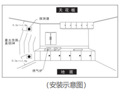 RY-R101可燃?xì)怏w探測器