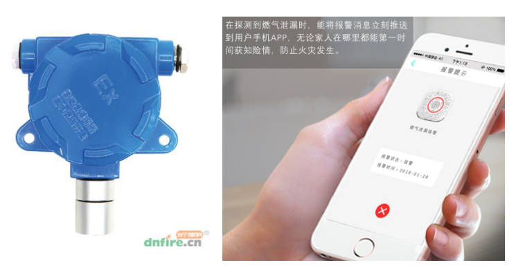 氣體探測(cè)器帶不帶顯示功能、帶不帶物聯(lián)網(wǎng)功能