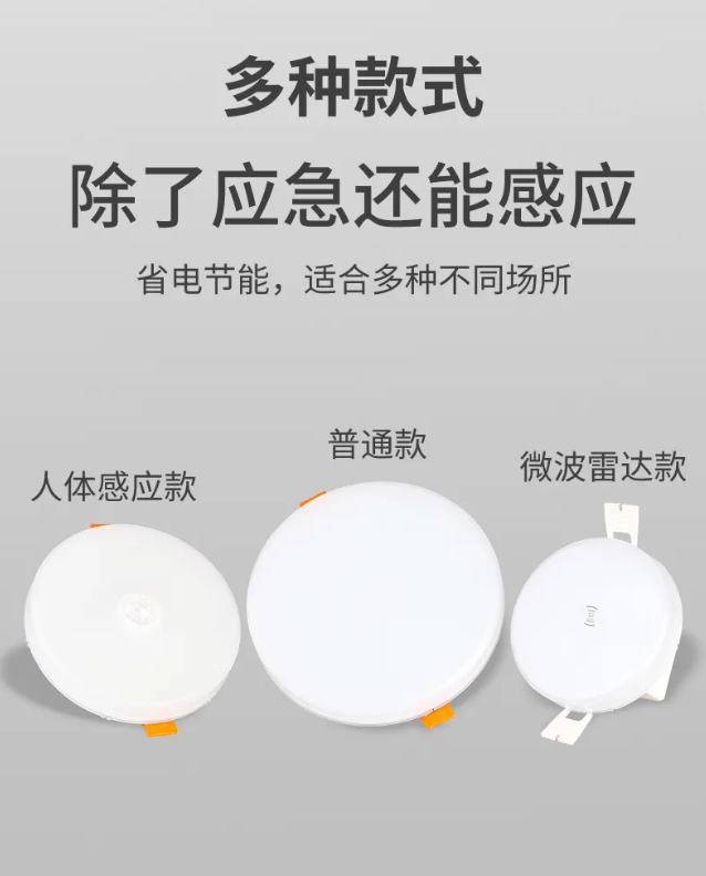 勞士最新推出無邊框超大發(fā)光面應(yīng)急照明燈