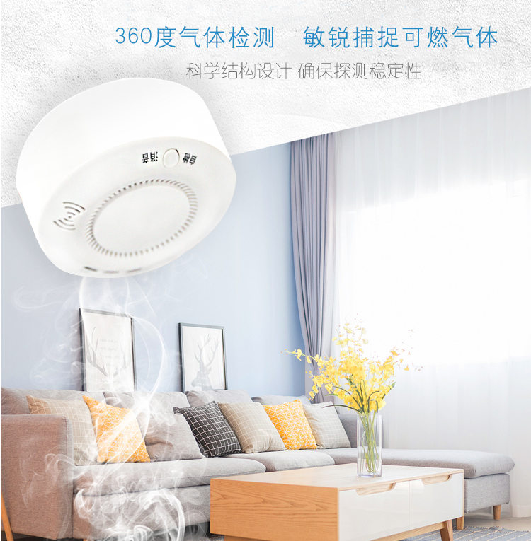 ZH6706點(diǎn)型可燃?xì)怏w探測器特點(diǎn)