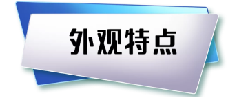 青鳥消防JBF6116測量熱解粒子式電氣火災(zāi)監(jiān)控探測器外觀特點
