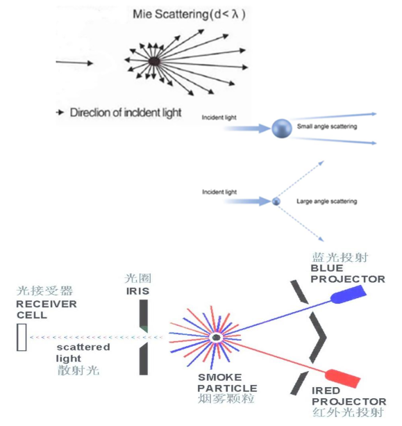 從檢測走向識別：區(qū)分粒子直徑