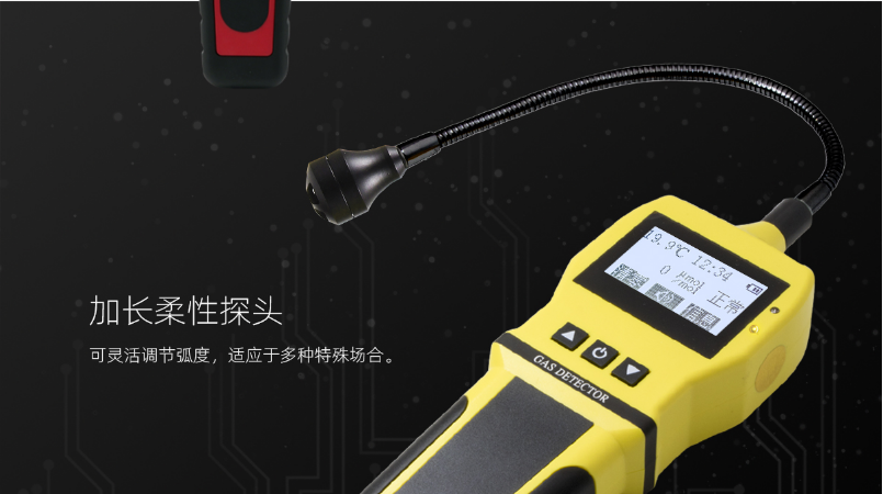 BH-90(EX)便攜式可燃?xì)怏w檢漏儀柔性探頭