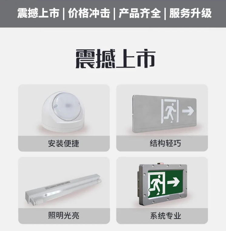 海灣消防VN系列消防應(yīng)急照明和疏散指示系統(tǒng)