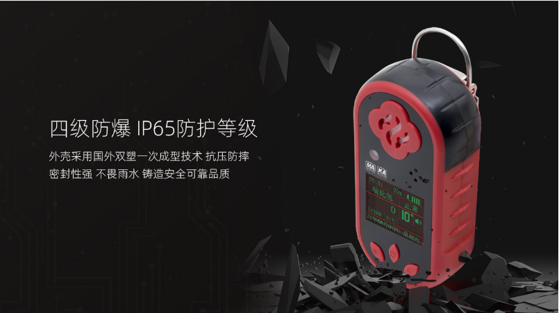CLH100硫化氫測(cè)定器防護(hù)等級(jí)