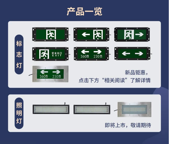 海灣IP65系列高防護燈具產(chǎn)品