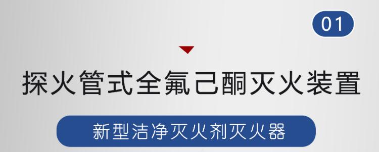 瑞港探火管式全氟己酮滅火裝置