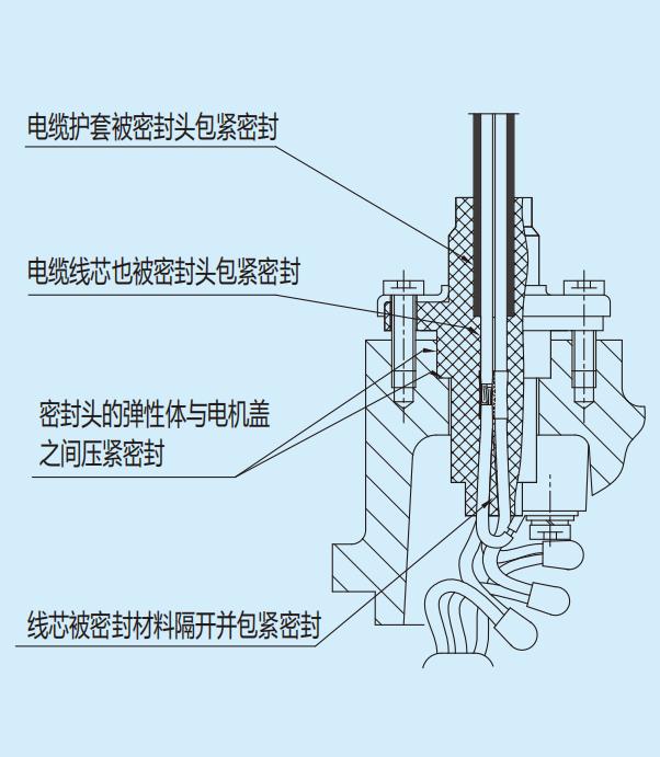WQ/E系列小型潛水排污泵結(jié)構(gòu)電纜密封頭