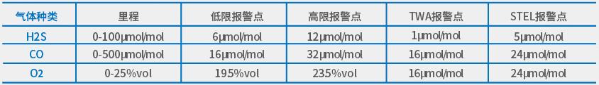 SP101便攜式單一氣體檢測儀技術(shù)參數(shù)