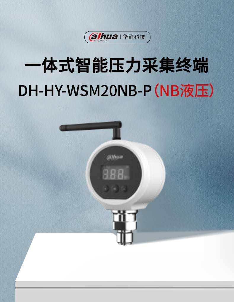 DH-HY-WSM20NB-P一體式智能壓力采集終端產(chǎn)品展示