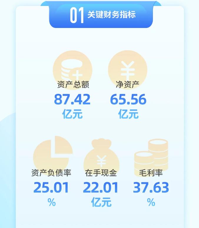 一圖讀懂青鳥消防2025年一季度報財務(wù)數(shù)據(jù)