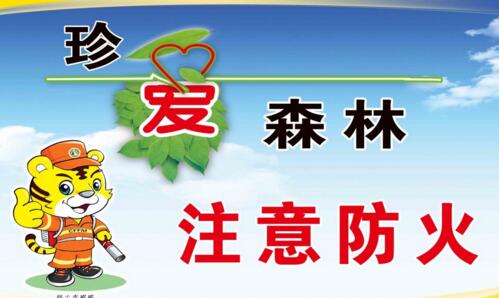 森林防火宣傳標語 集合